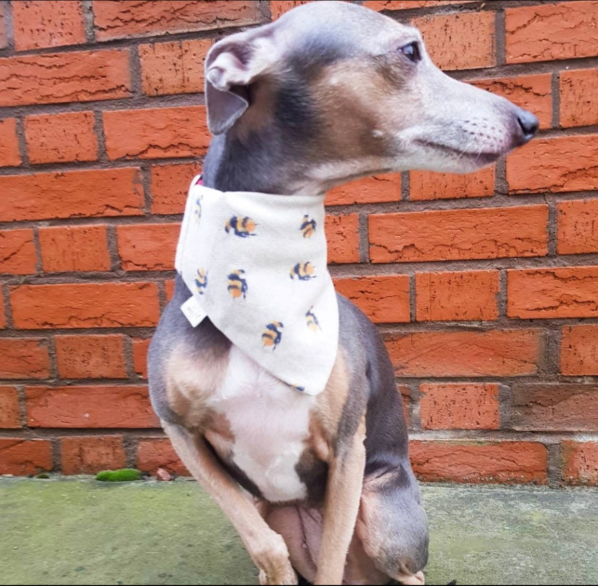 BUZZING AROUND BANDANA