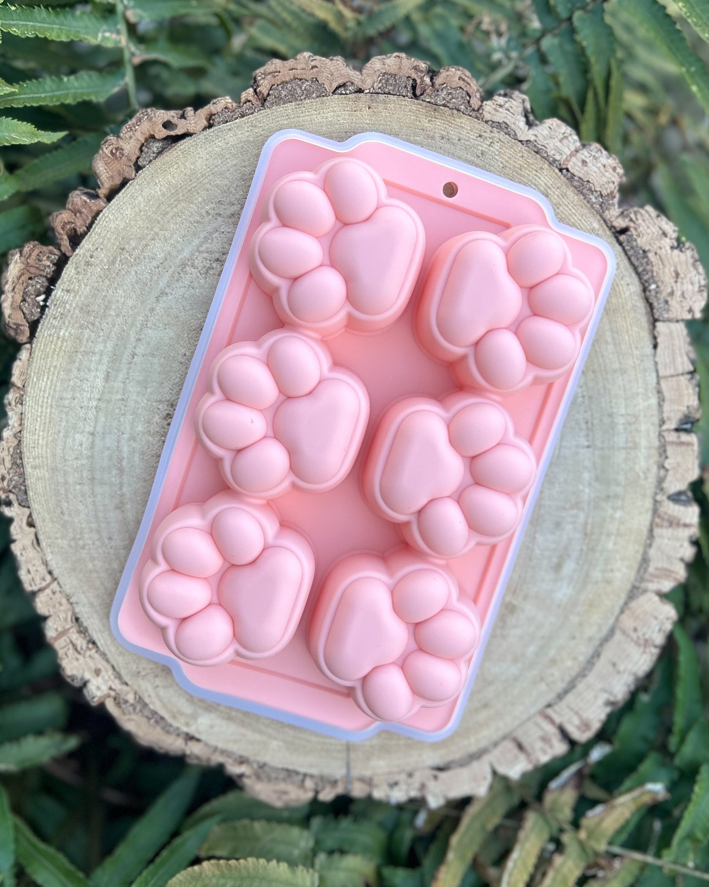 PAW PRINT SILICONE MOULDS WITH LIDS