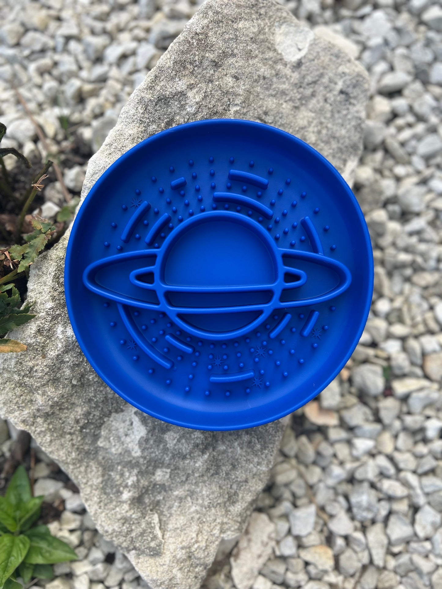 OUT OF THIS WORLD SLOW FEEDER BOWL