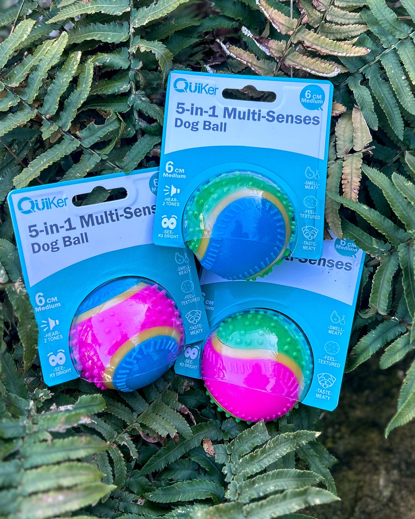 5 SENSES SENSORY DOG BALL