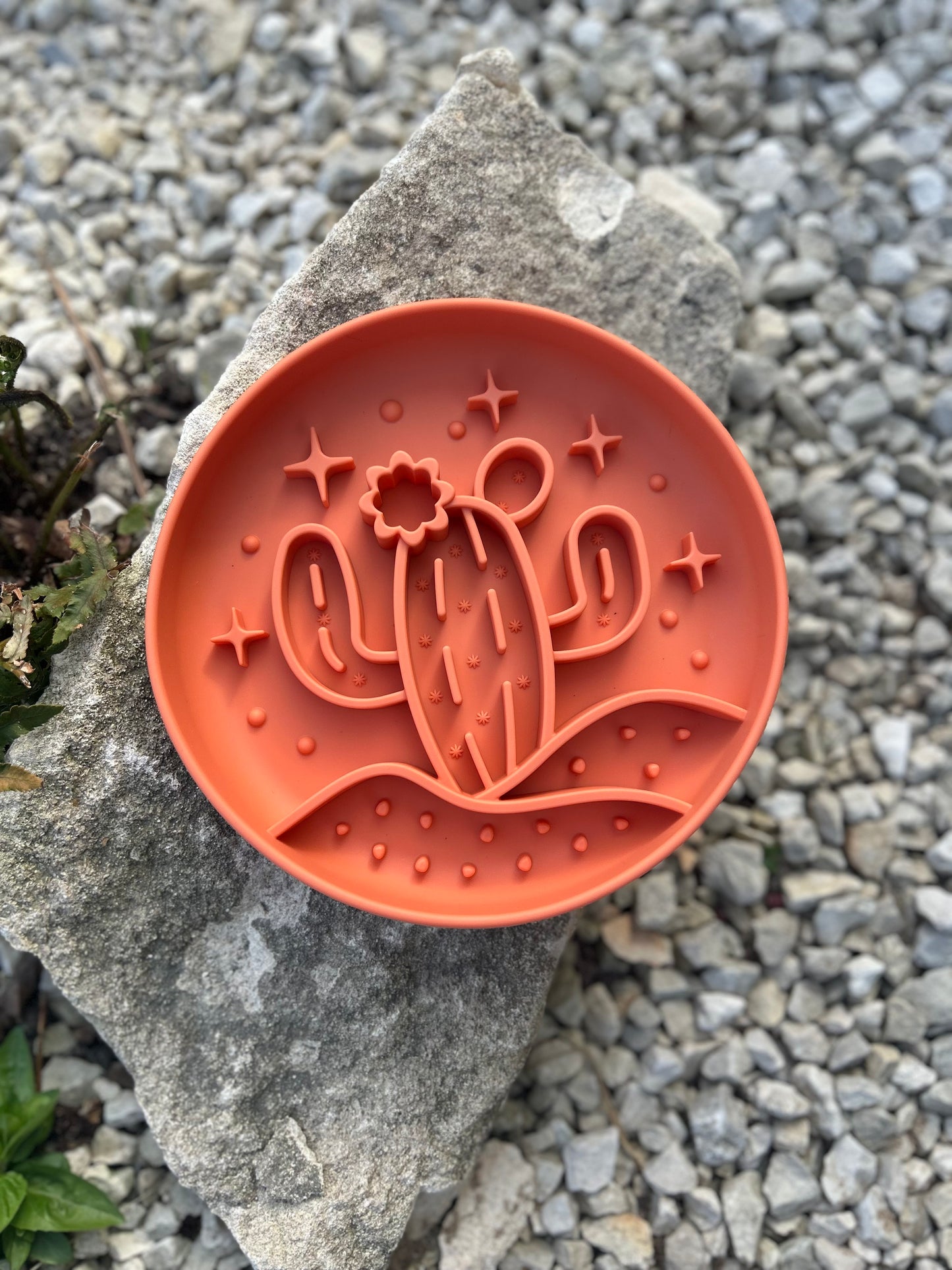 DESERT DINNER CACTUS SLOW FEEDER BOWL
