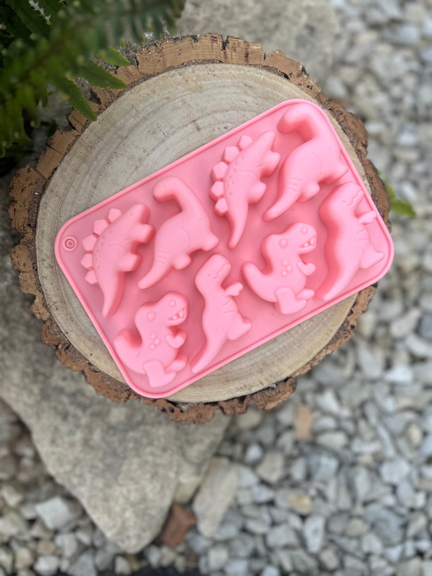 DINO SILICONE MOULDS