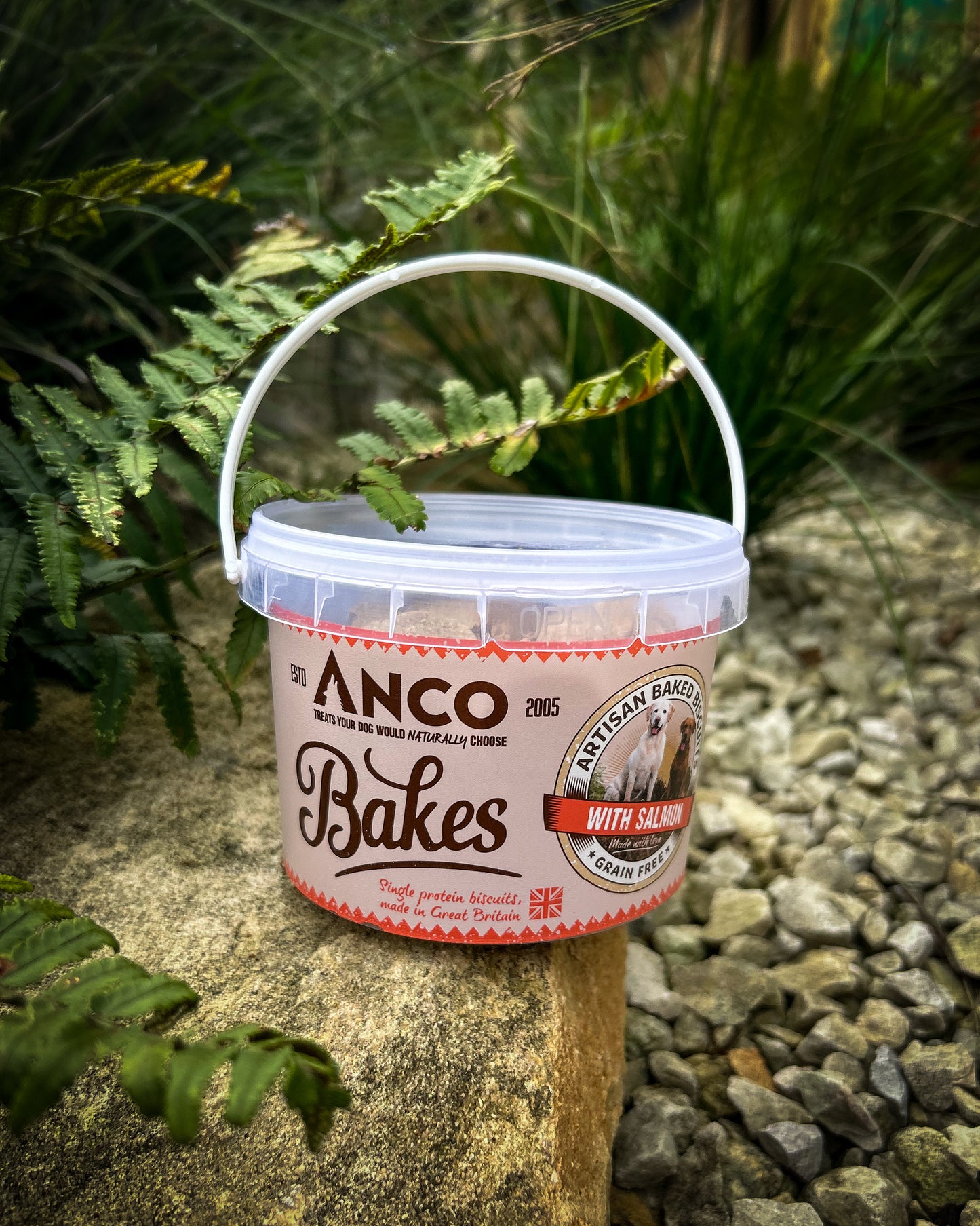 ANCO BAKES BISCUIT TREATS