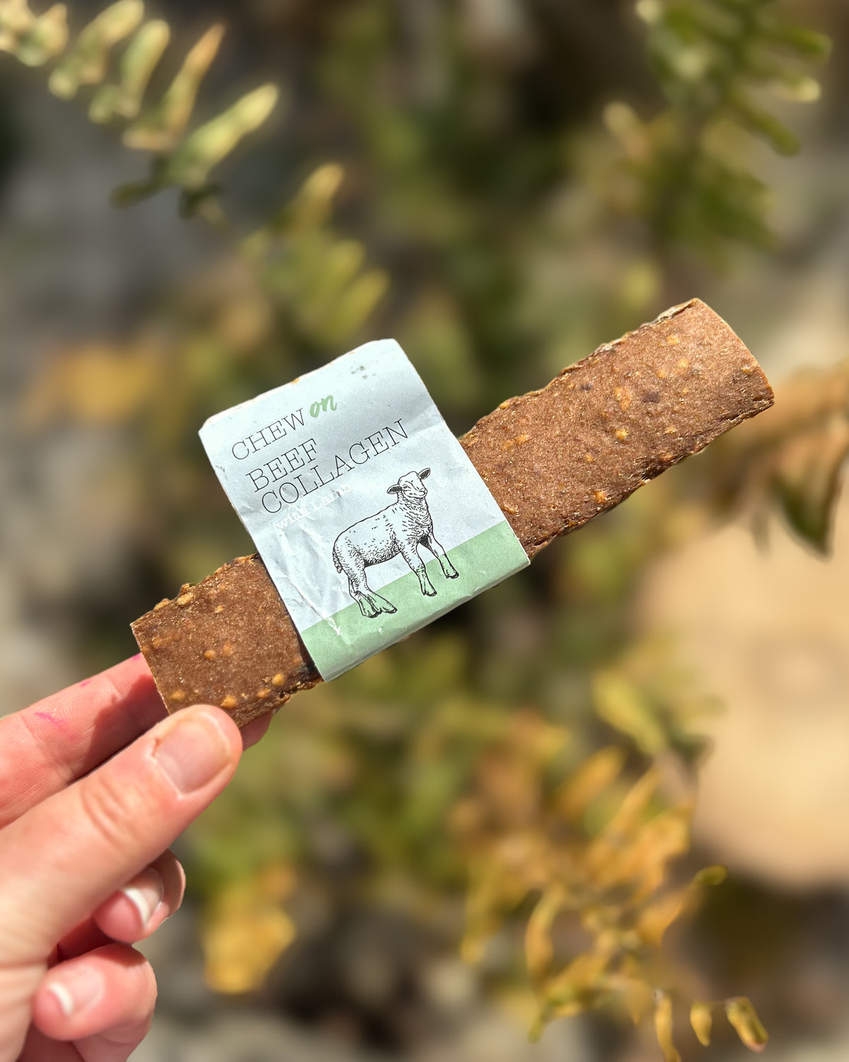 CHEW ON BEEF COLLAGEN BAR WITH LAMB