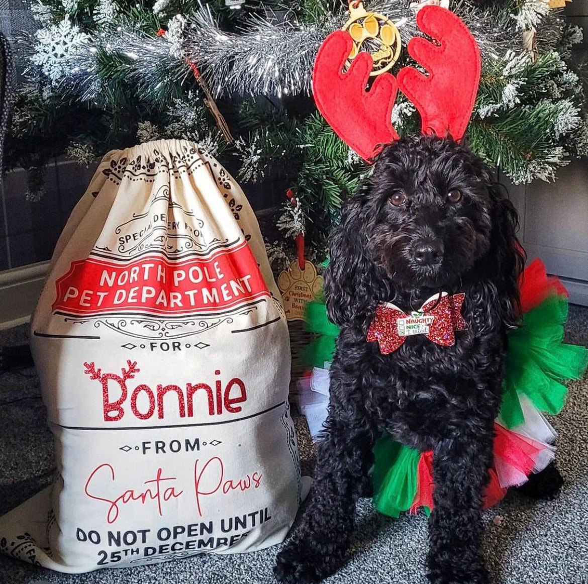 PERSONALISED PET SANTA SACKS