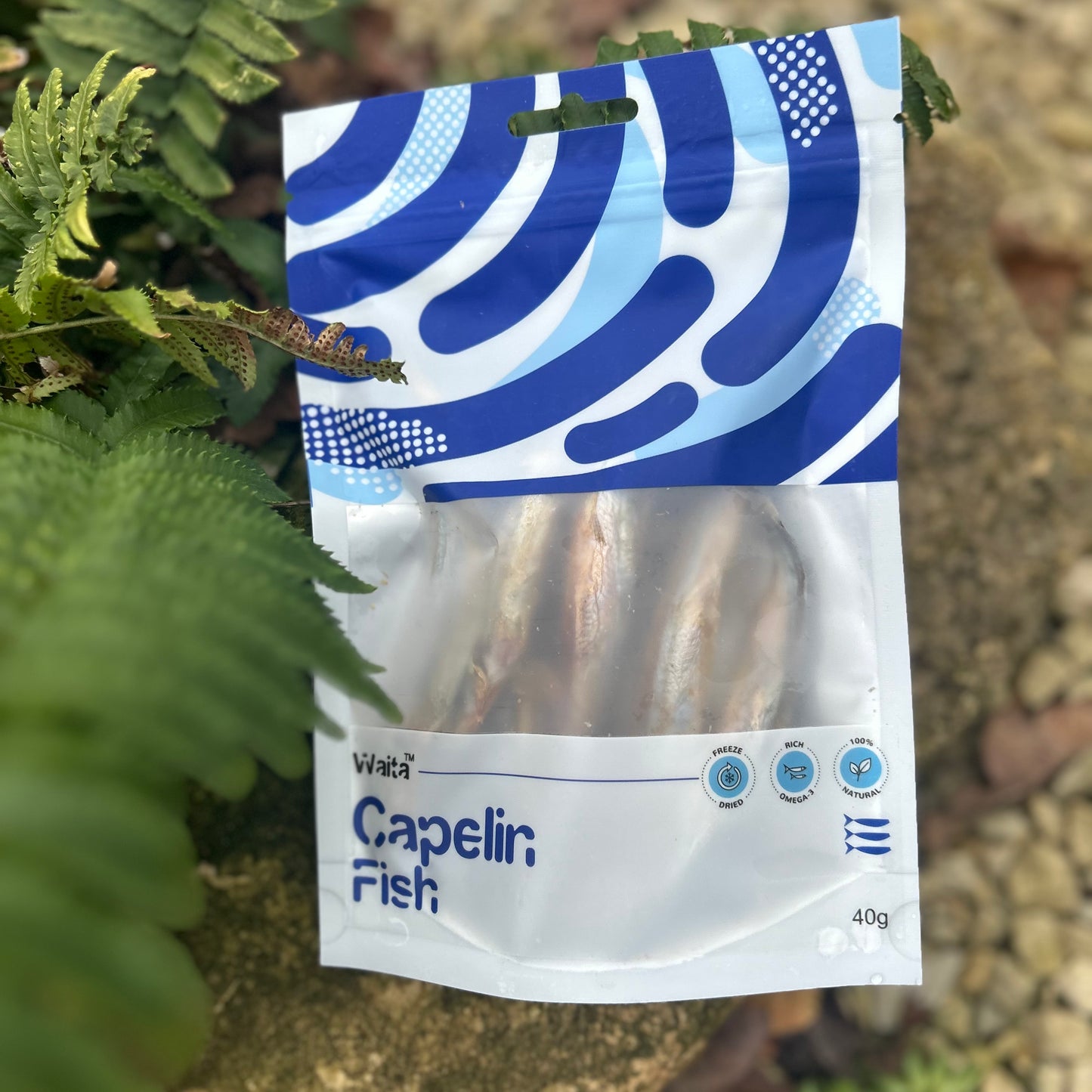 WAITA FREEZE DRIED CAPELIN FISH