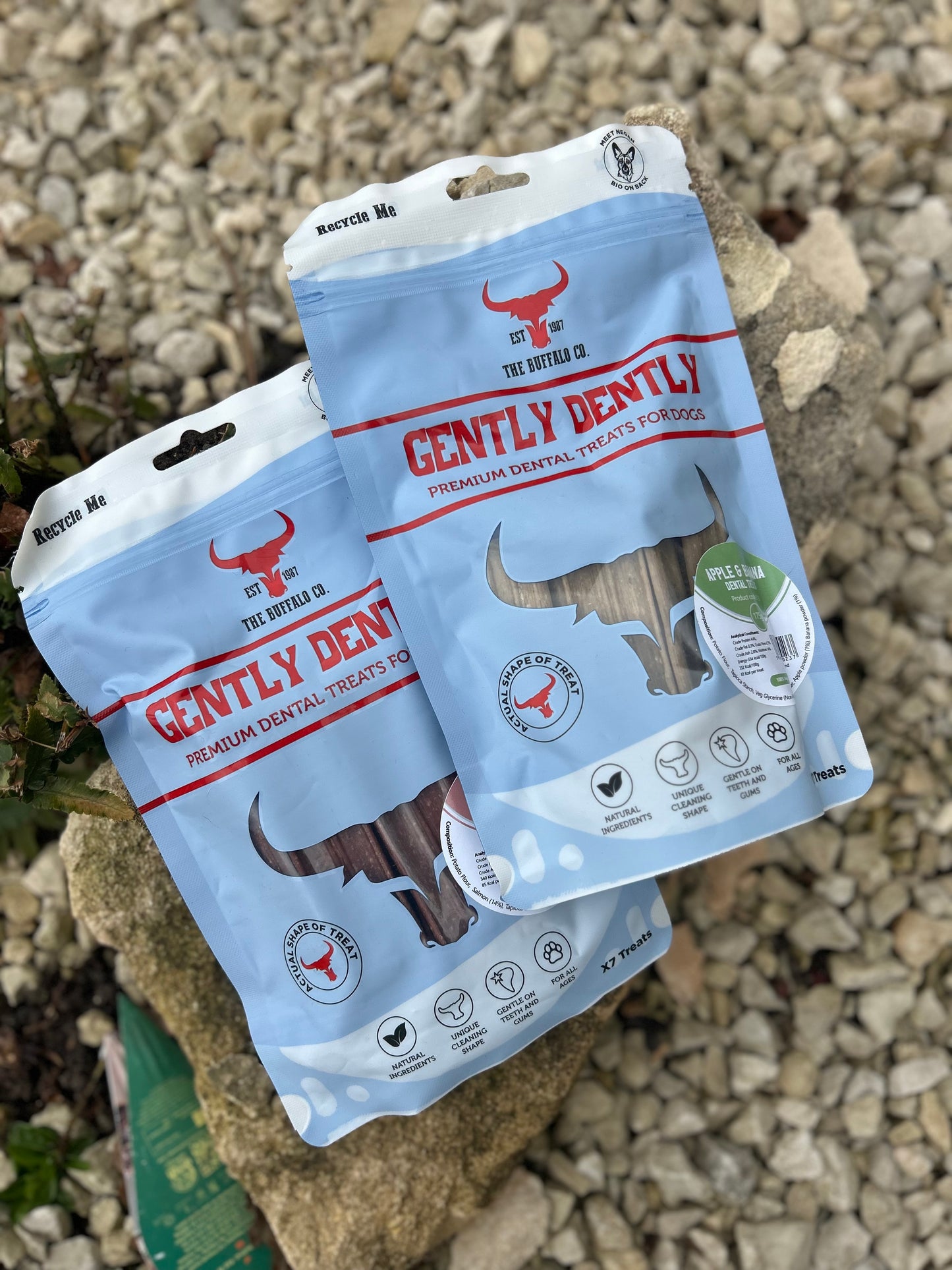 GENTLY DENTLY DENTAL CHEWS (2 FLAVOURS)