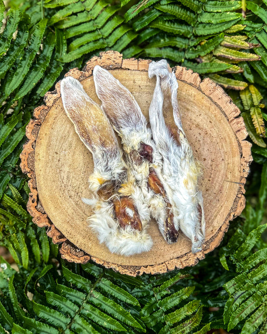 HAIRY RABBIT EARS