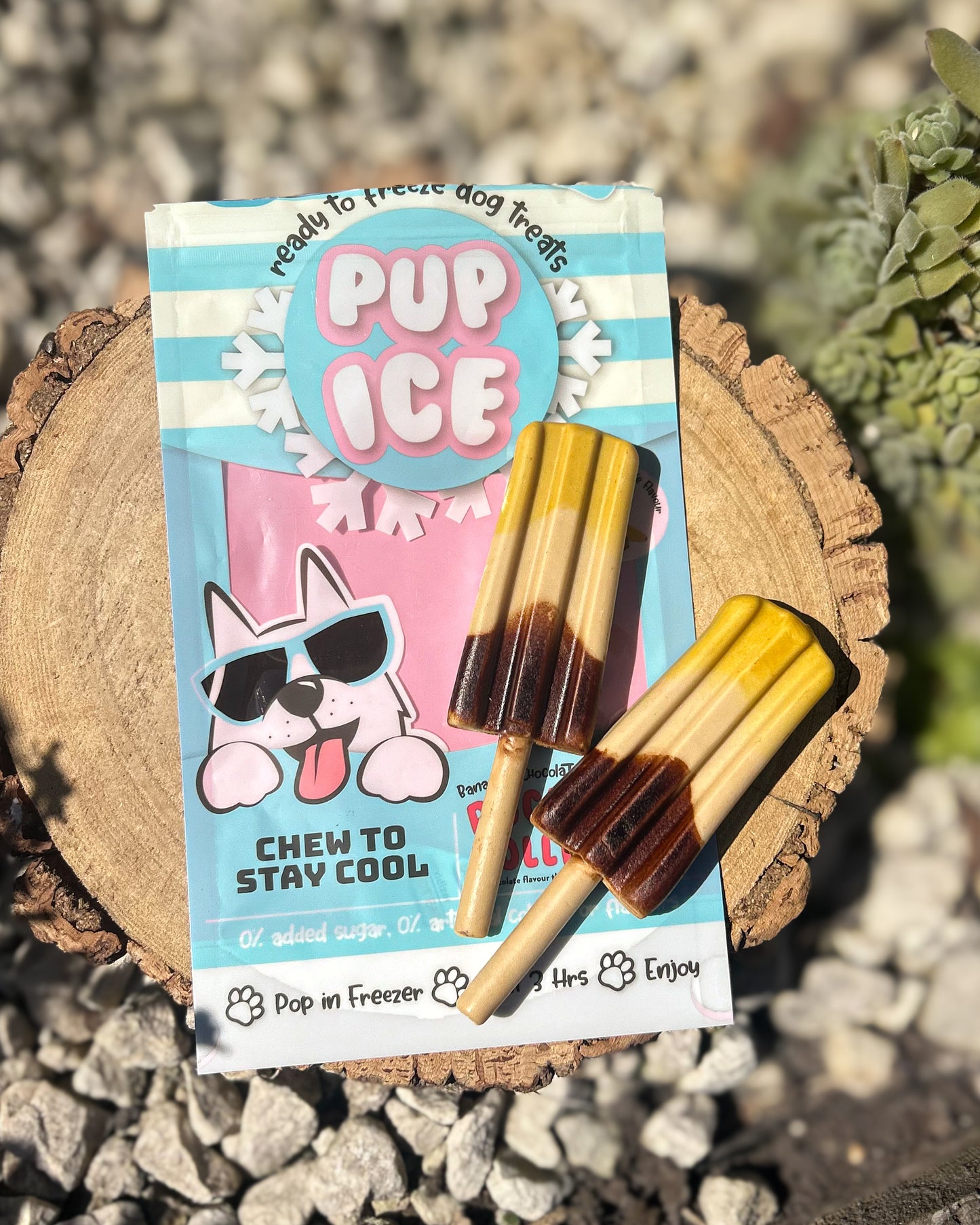 PUP ICE CHOCOLATE & BANANA  ROCKET LOLLIES (2 LOLLY PK - CONTAINS CHICKEN)