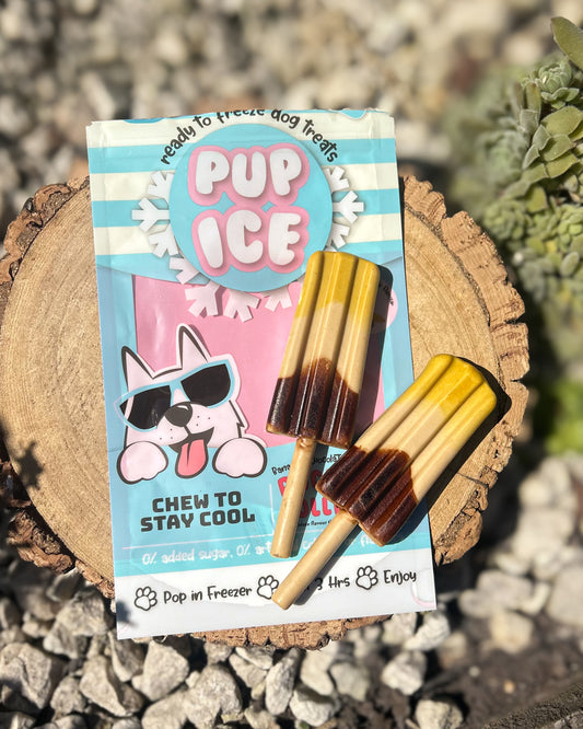 PUP ICE CHOCOLATE & BANANA  ROCKET LOLLIES (2 LOLLY PK - CONTAINS CHICKEN)