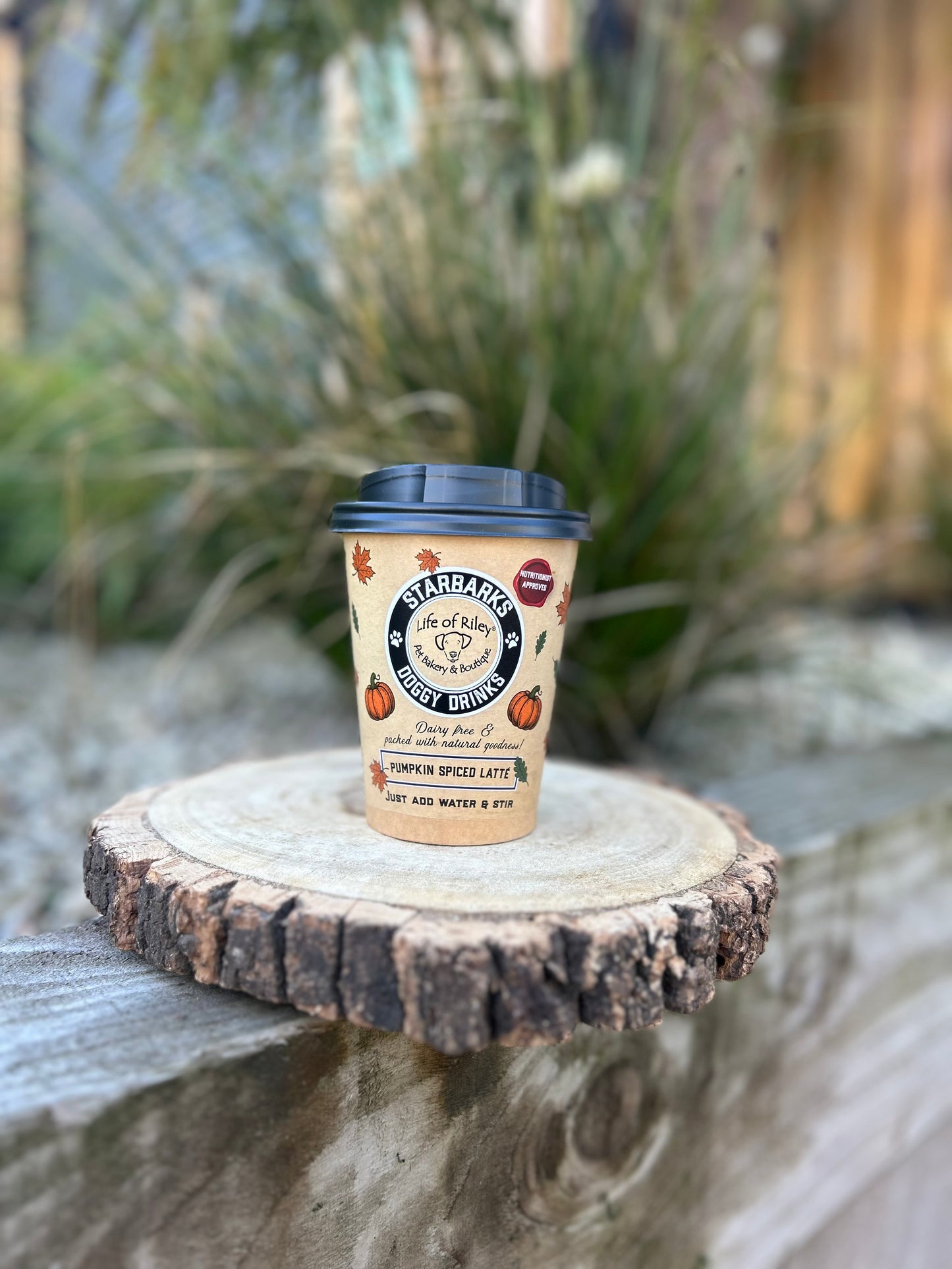 STARBARKS PUMPKIN SPICED LATTE DRINK