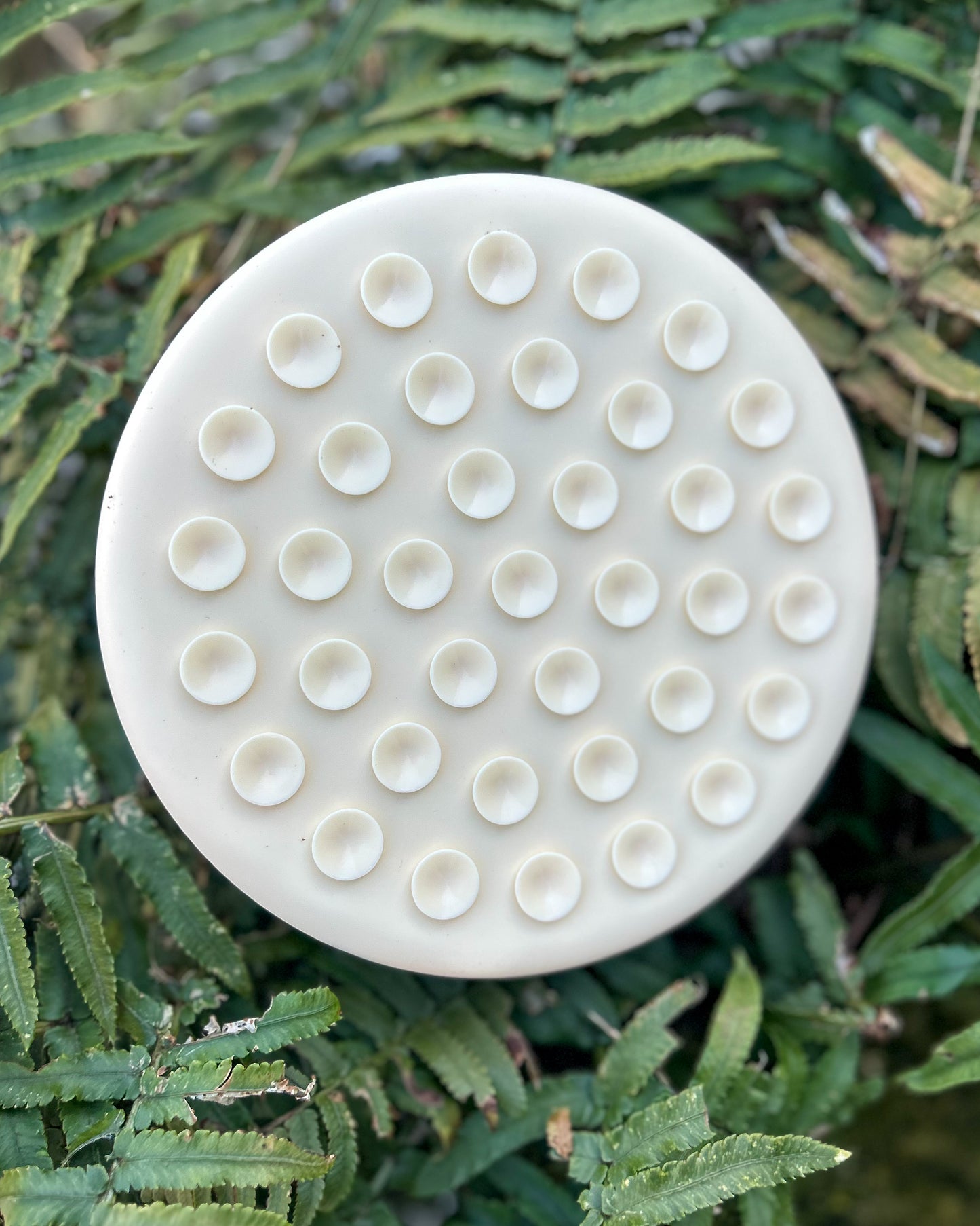 PAWS ON PLATES SILICONE SLOW FEEDER LICK BOWL