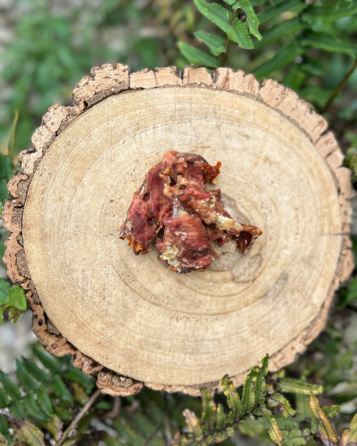 DUCK WRAPPED PUMPKIN PIECE