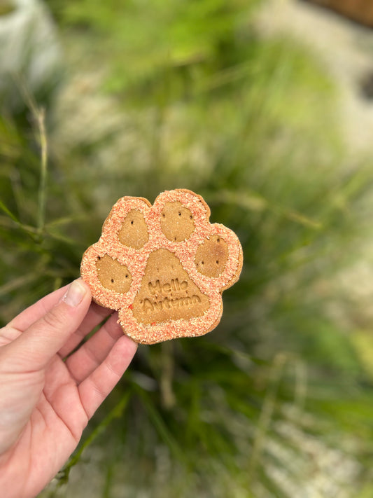 NELSON’S HELLO AUTUMN COCONUT PAW BISCUIT
