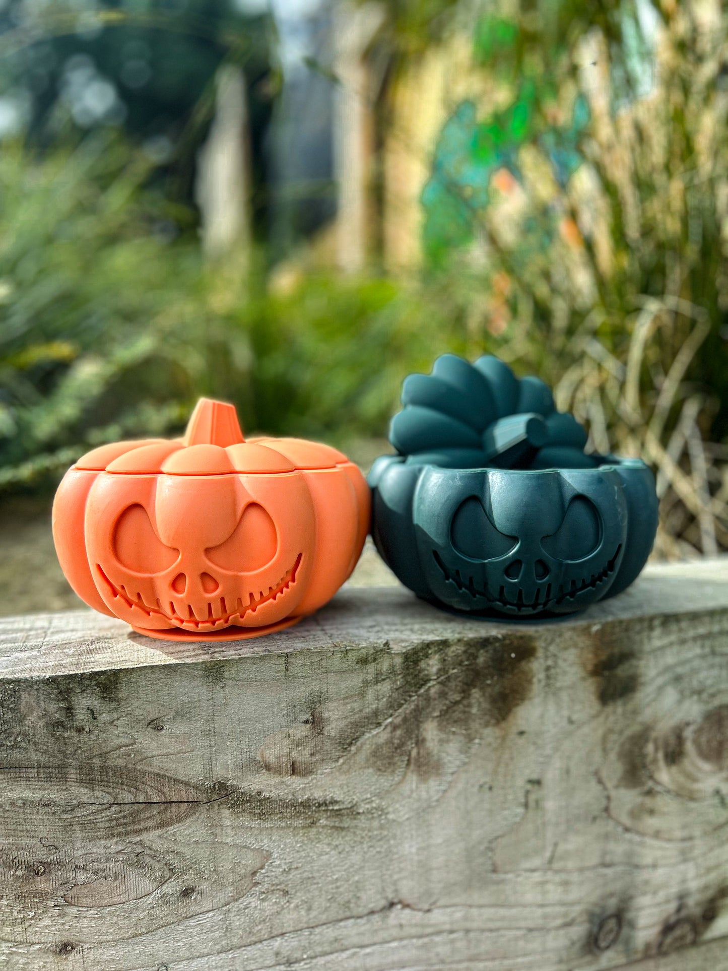 THE PUMPKIN POT ENRICHMENT BOWL