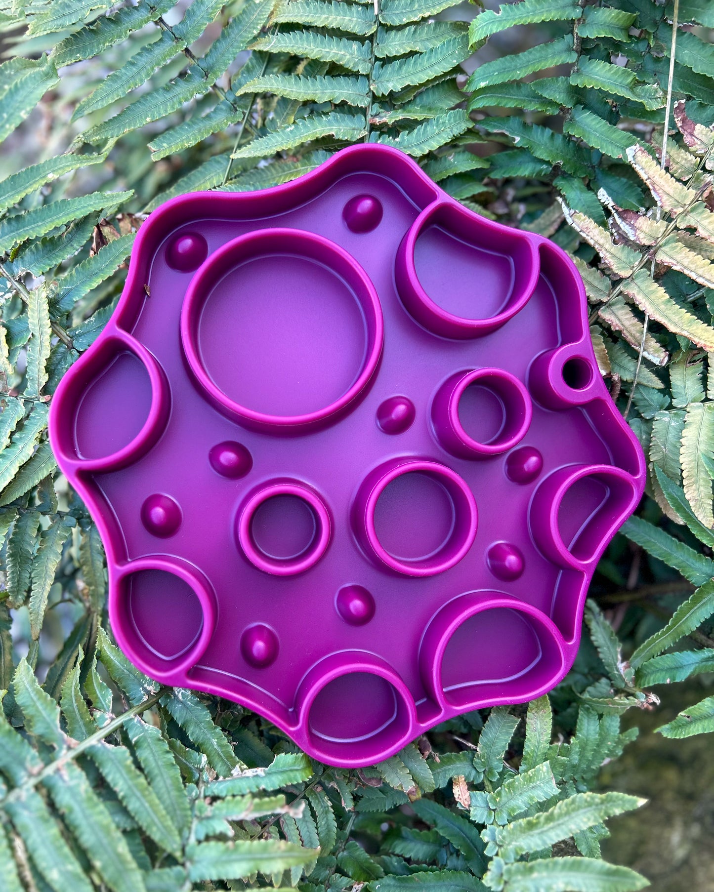 GRAPE GALAXY 2 IN 1 SILICONE SLOW FEEDER BOWL & LICK MAT