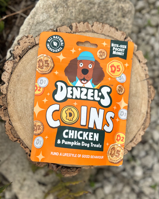 DENZELS CHICKEN & PUMPKIN DOG TREATS