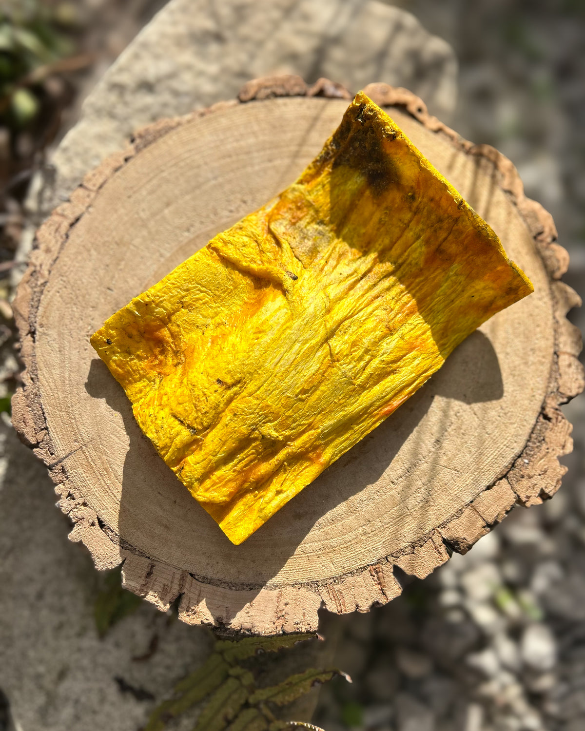 ANCO BEEF, CHICKEN & TURMERIC CHIPS