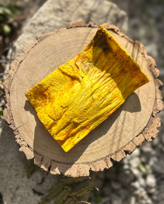 ANCO BEEF, CHICKEN & TURMERIC CHIPS