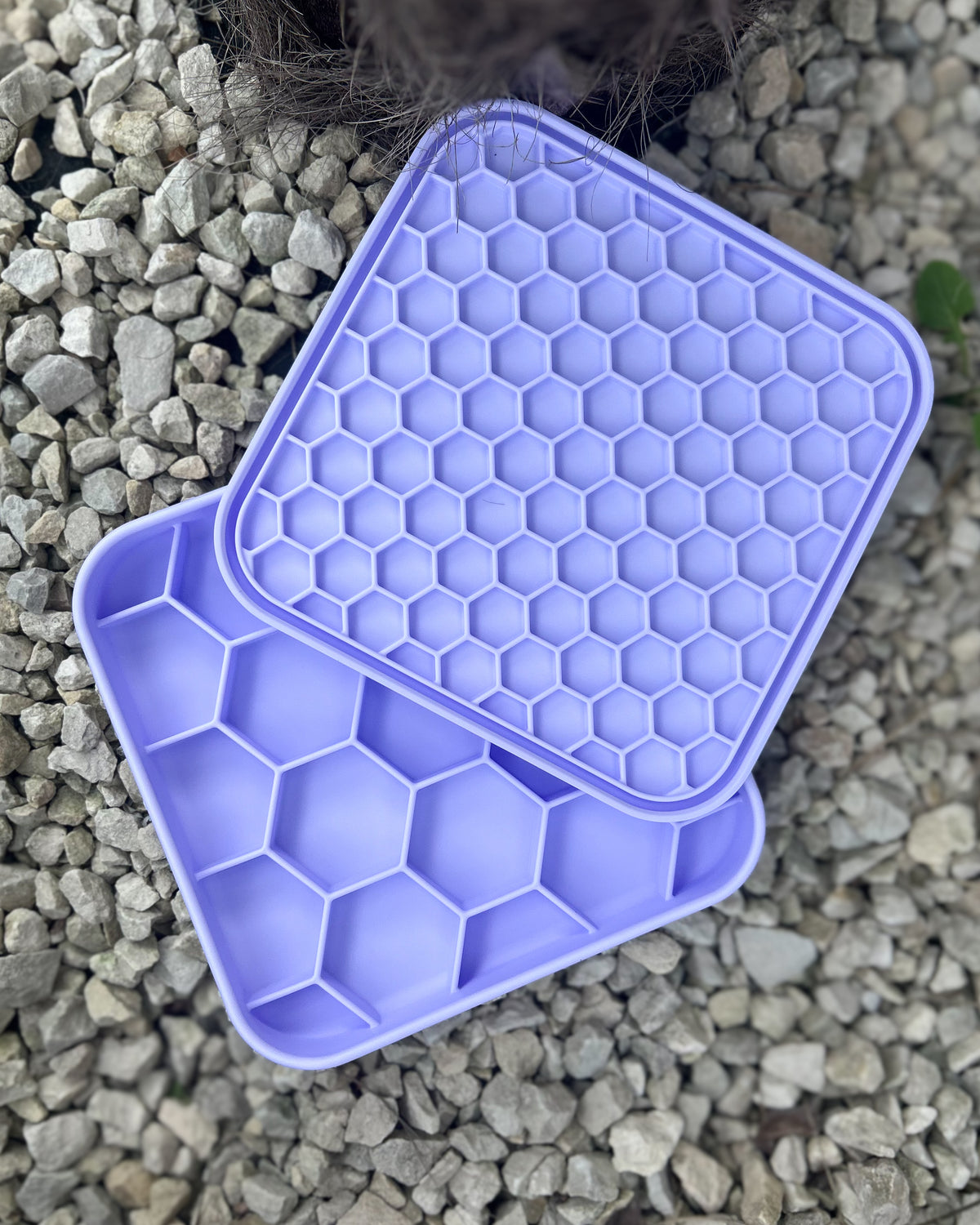 LID IT 2 IN ONE SLOW FEEDER BOWL LICK MAT WITH LID