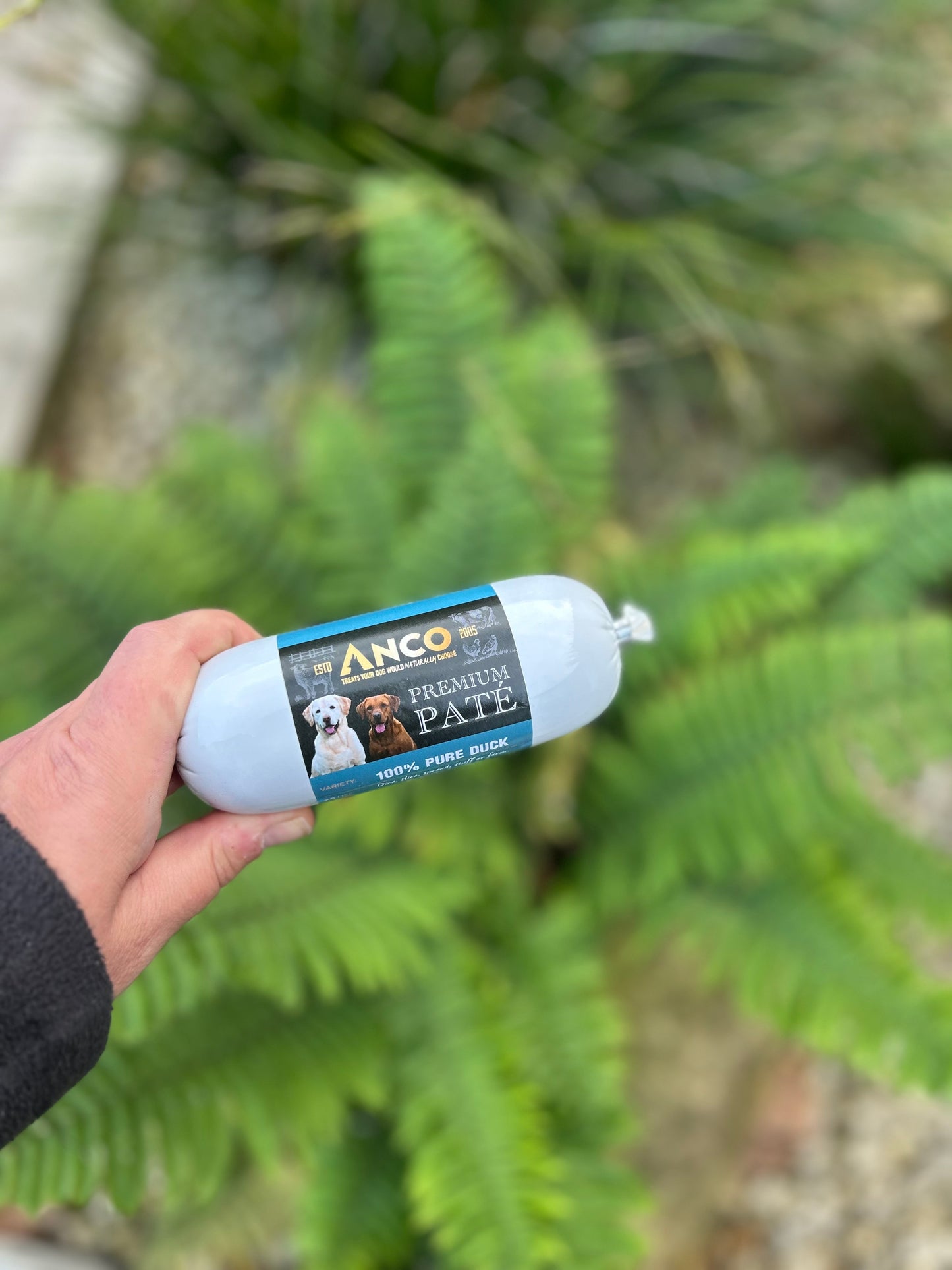 ANCO 100% SINGLE PROTEIN PATE (6 FLAVOURS)200g