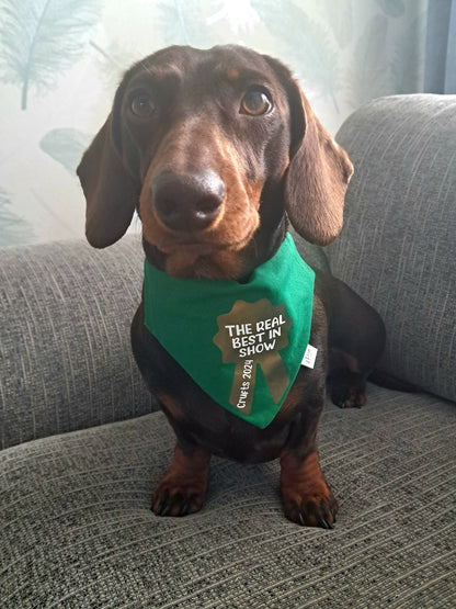 CRUFTS 2026 “THE REAL” BEST IN SHOW BANDANA