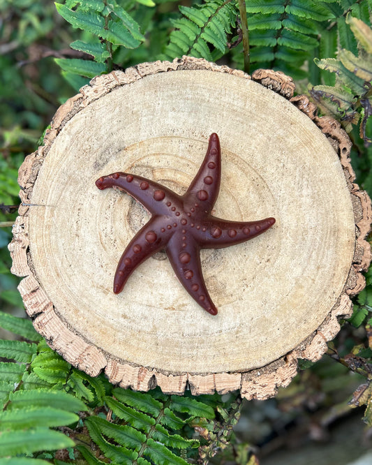 APPLE BROCCOLI, MINT STARFISH VEGGIE CHEW