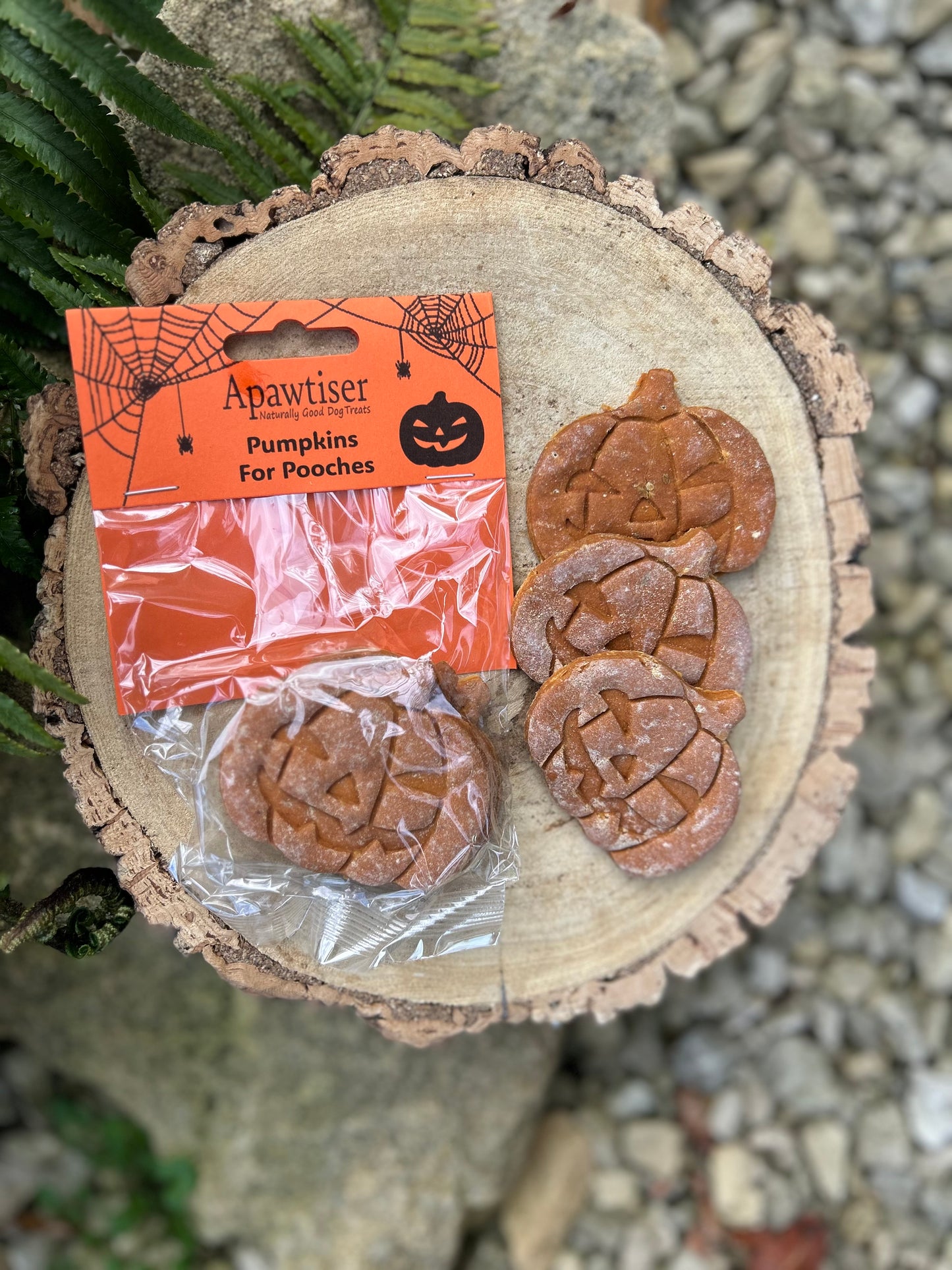 APAWTISER SPOOKY JACK O LANTERN PUMPKIN 3 PACK BISCUIT TREATS