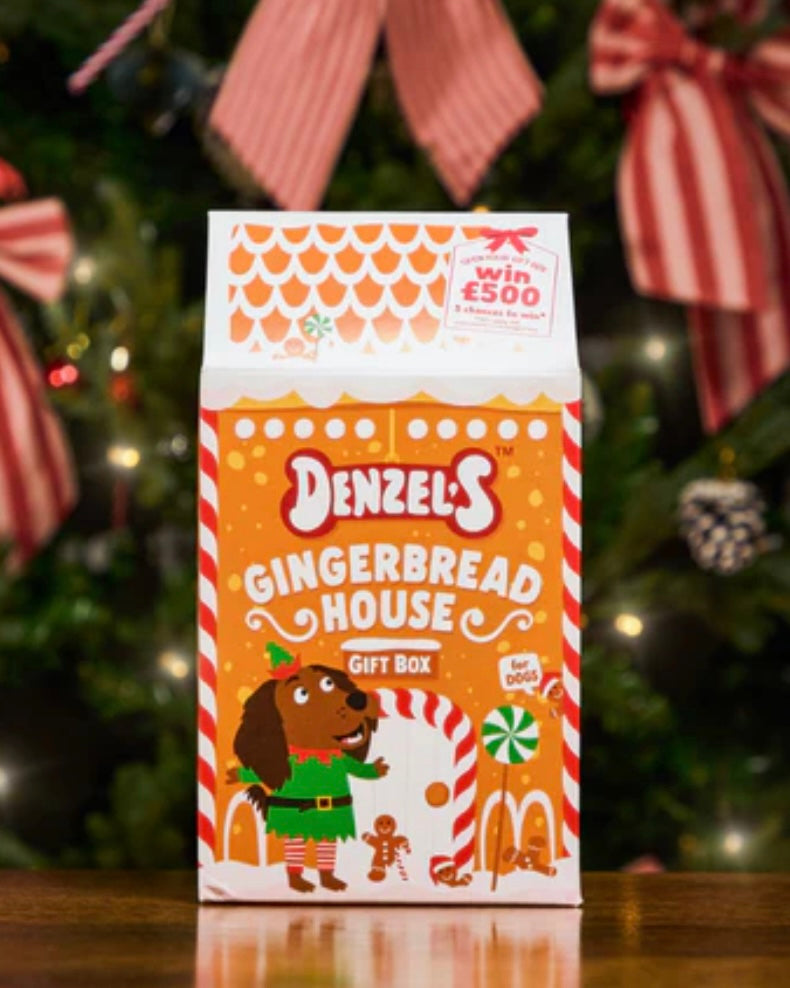 DENZELS GINGERBREAD HOUSE CHRISTMAS GIFT BOX