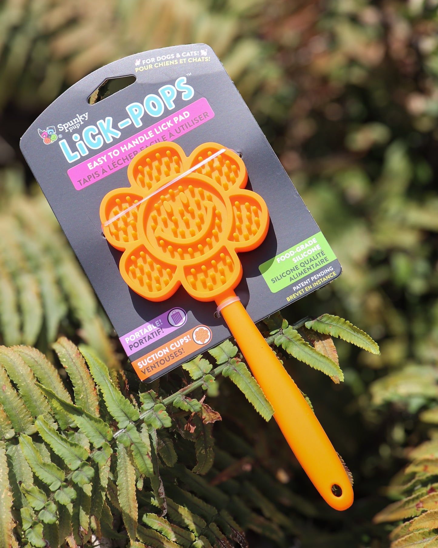 FLOWER LICK POP LICK PAD LICK STICK