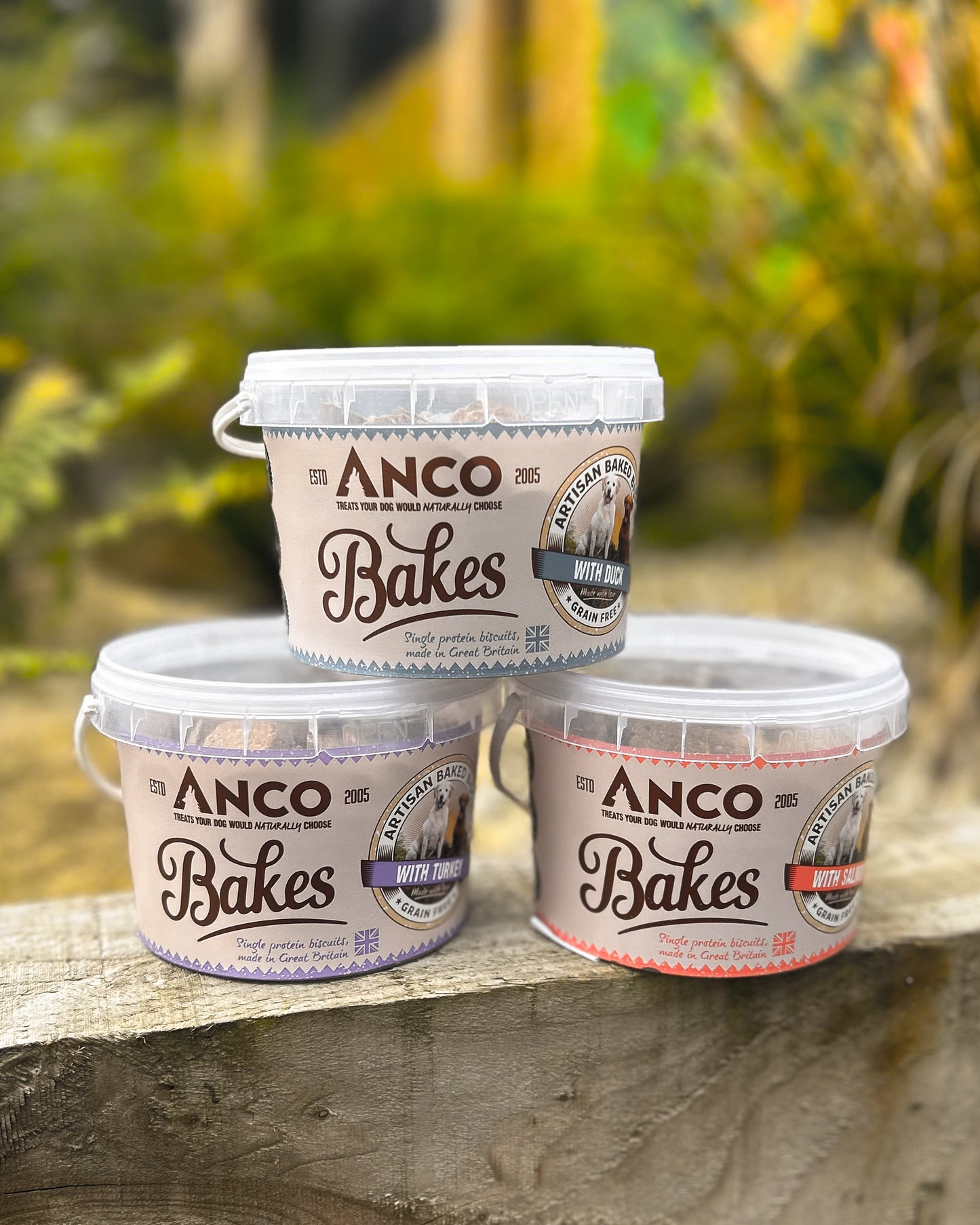 ANCO BAKES BISCUIT TREATS