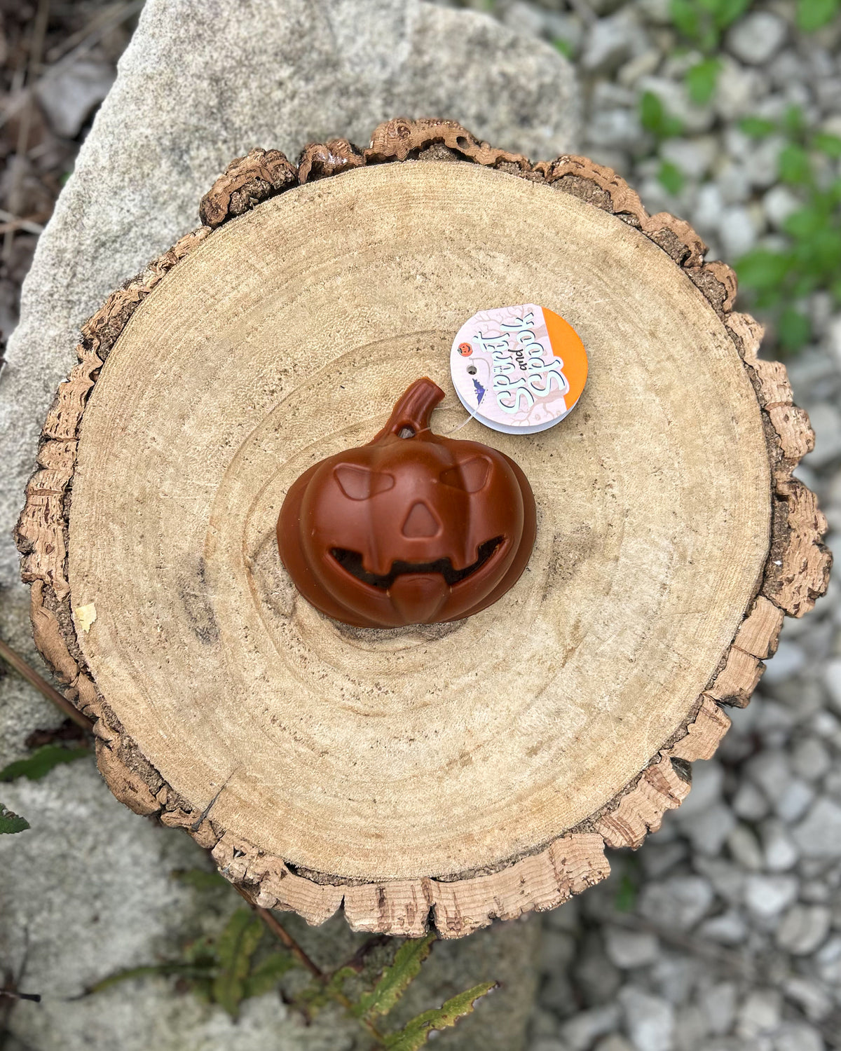 SPOOKY CHICKEN & VEG HALLOWEEN DENTAL CHEWS
