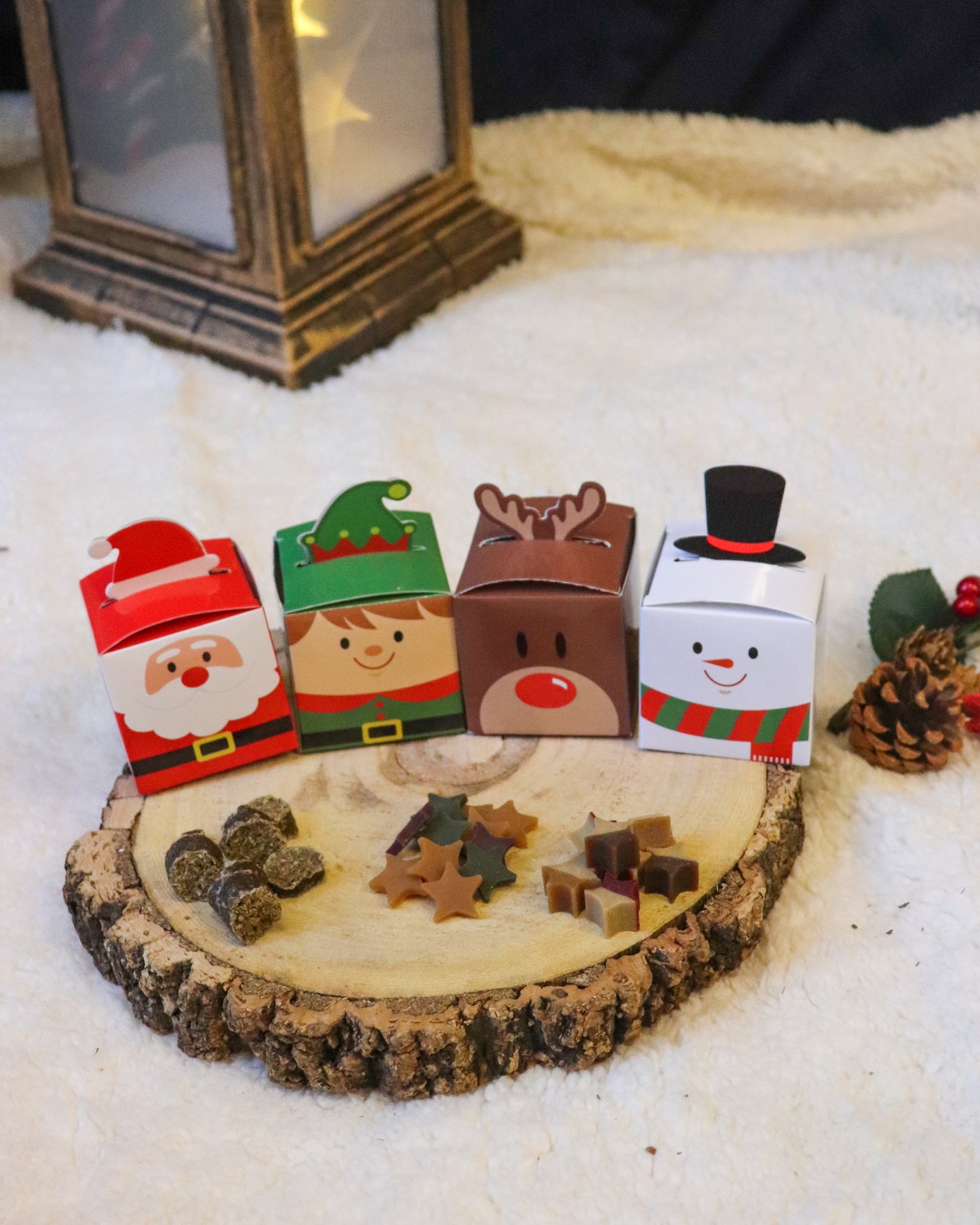 MINI CHRISTMAS TRAIN & TREAT BOXES