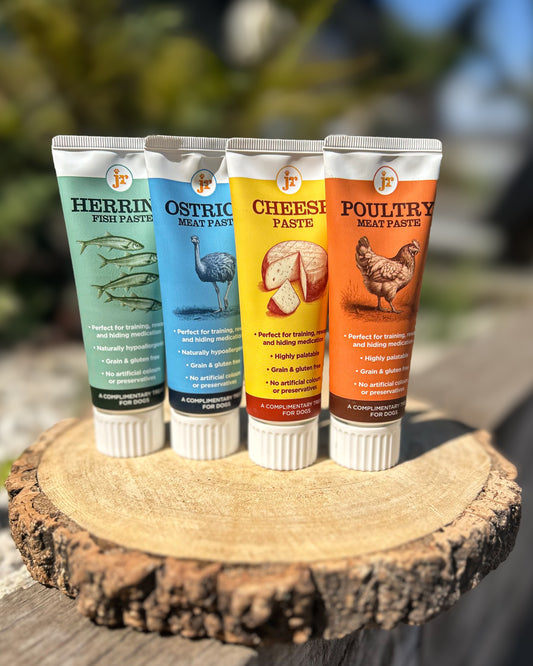 JR PREMIUM PASTE TRAINING TREAT