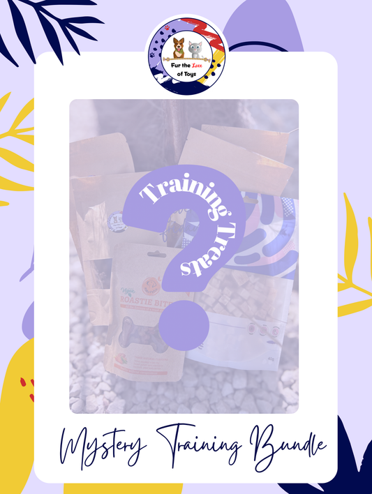 FIVER FRIDAY - MYSTERY MADNESS - MYSTERY TRAINING BUNDLE