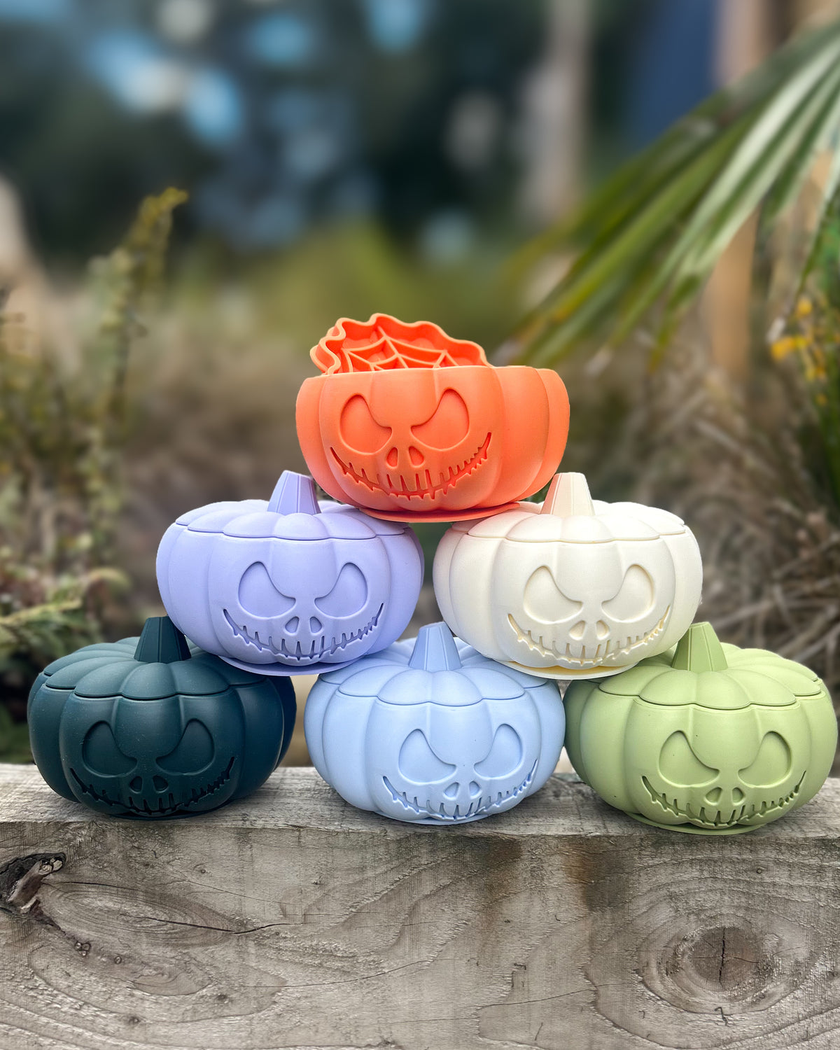 THE PUMPKIN POT ENRICHMENT BOWL