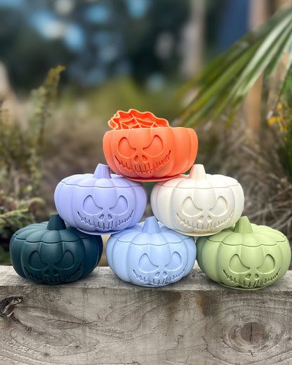 THE PUMPKIN POT ENRICHMENT BOWL