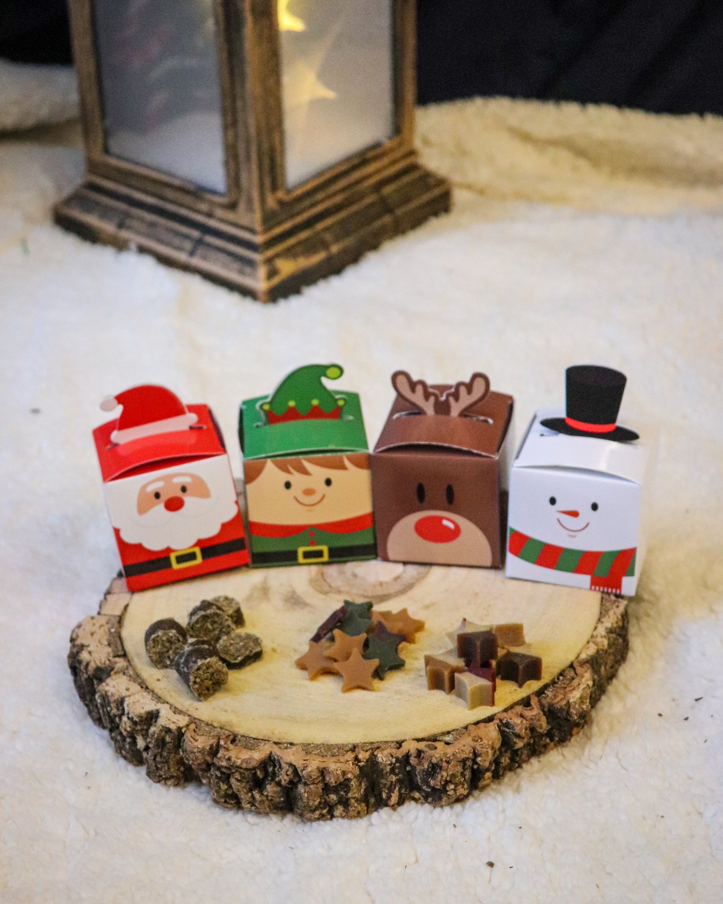 MINI CHRISTMAS TRAIN & TREAT BOXES