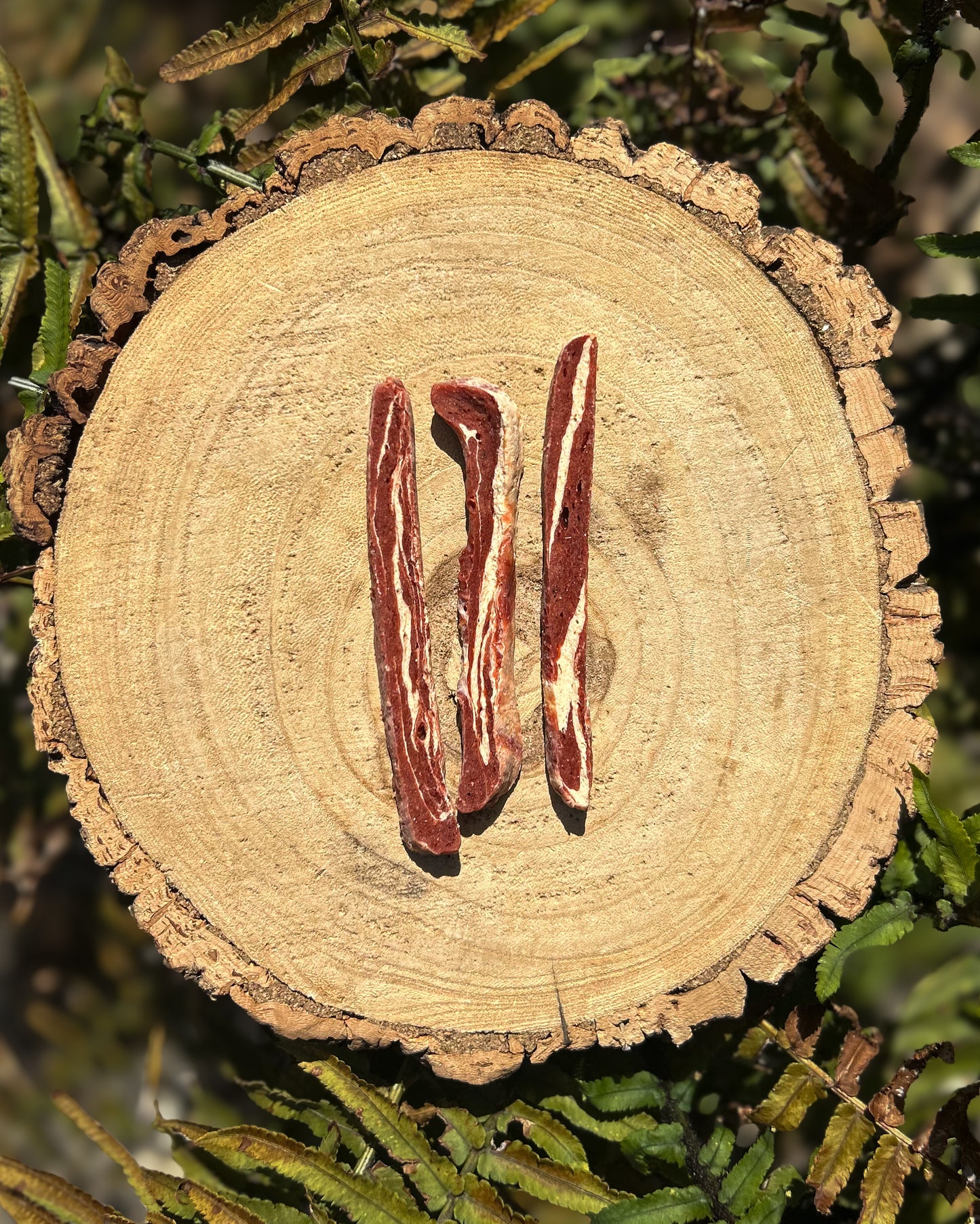 MARBLED MEATY STRIPS (SALMON, RABBIT, BEEF)