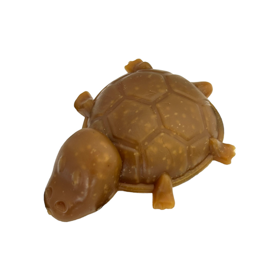 PEANUT BUTTER VEGGIE TURTLE