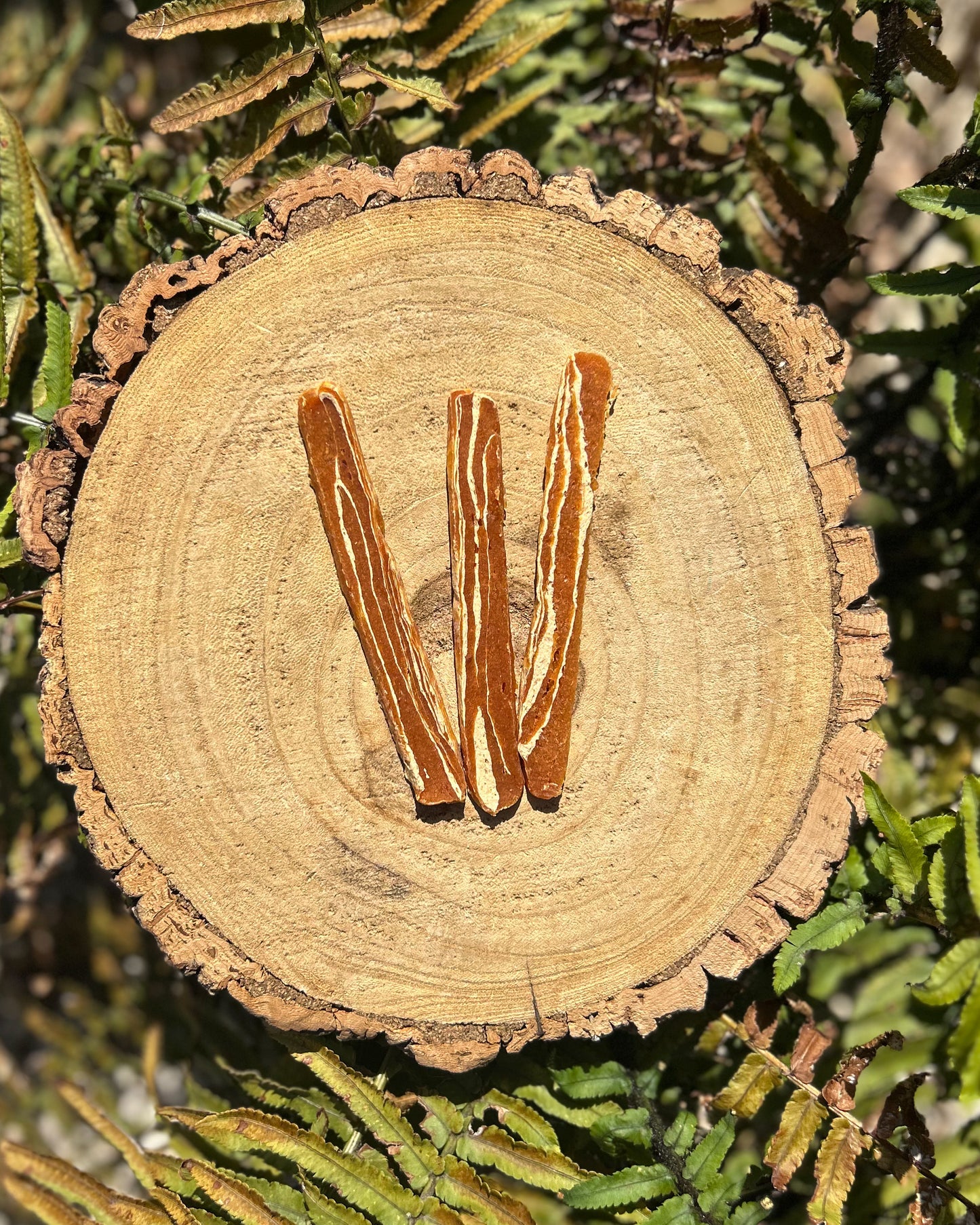 MARBLED MEATY STRIPS (SALMON, RABBIT, BEEF)