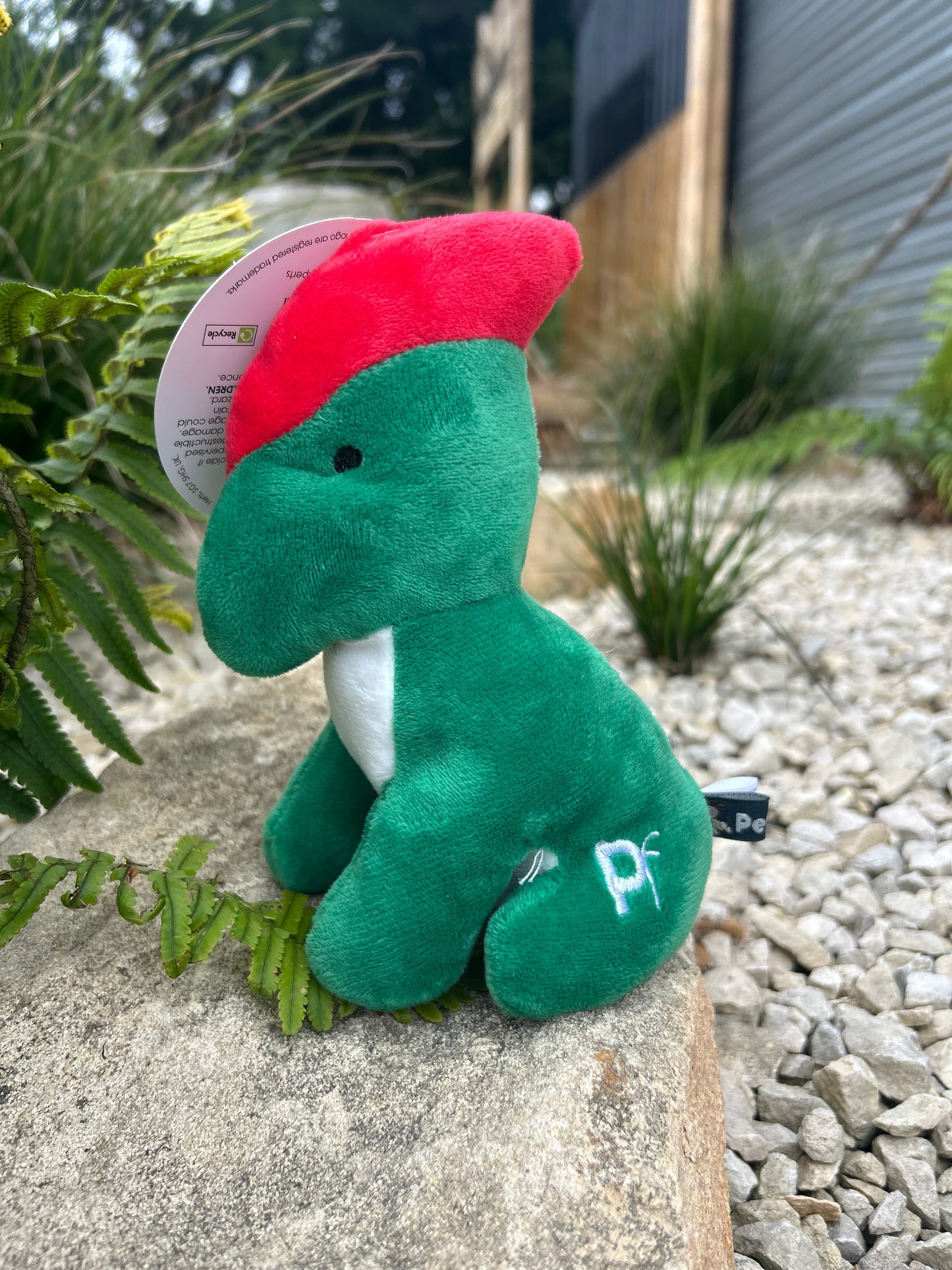 BABY DINO MINI PLUSH TOY