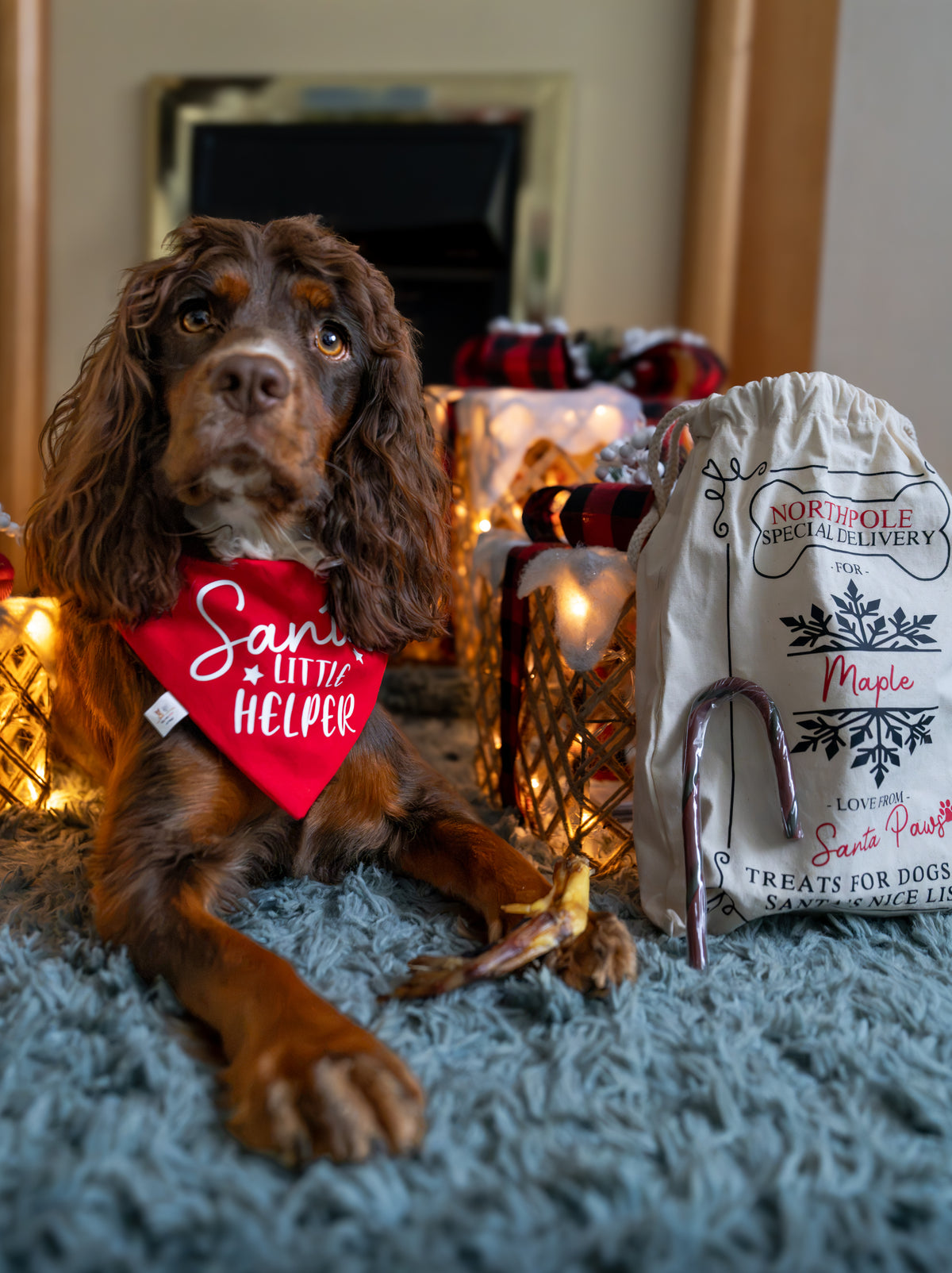 PRE ORDER - CHRISTMAS ADVENT BAG 2026 - REFILL ONLY (NO BAG)