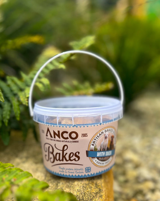 ANCO BAKES BISCUIT TREATS
