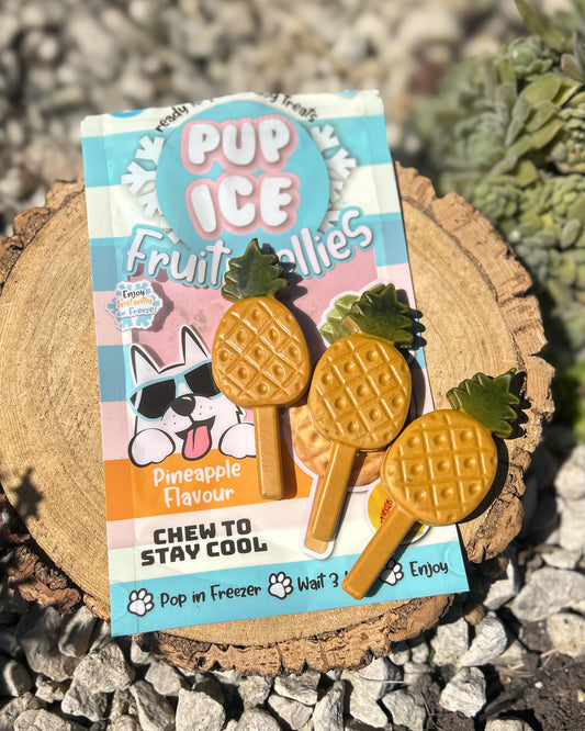 PUP ICE FRUITY LOLLIES PINEAPPLE (3 LOLLY PK - CONTAINS CHICKEN)