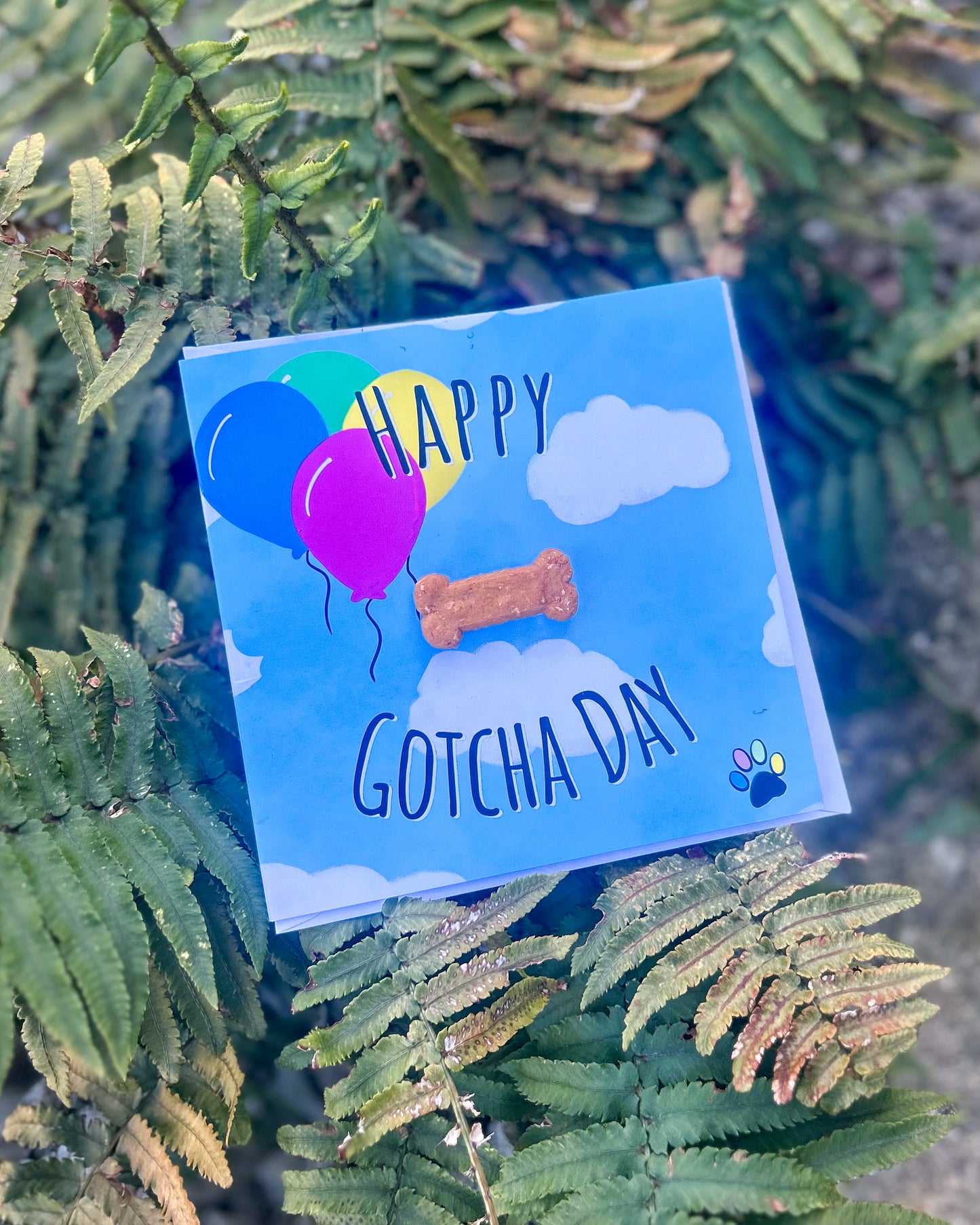 DOG BIRTHDAY GOTCHA DAY CARD WITH DOGGY BISCUIT