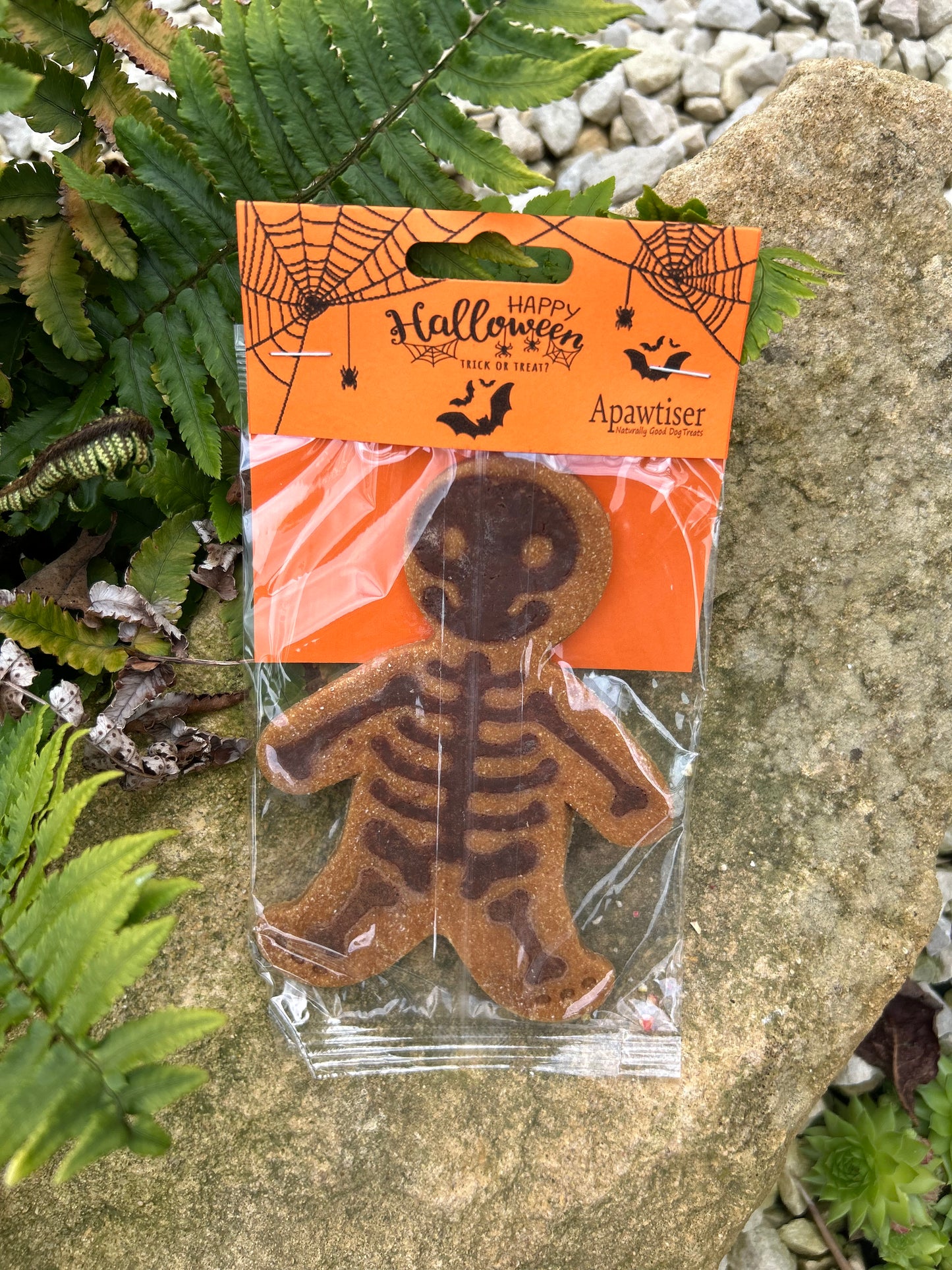 APAWTISER SPOOKY HALLOWEEN SKELETON BISCUIT TREAT