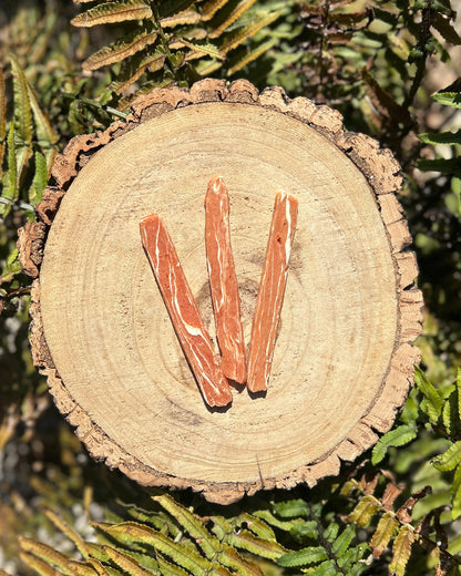 MARBLED MEATY STRIPS (SALMON, RABBIT, BEEF)