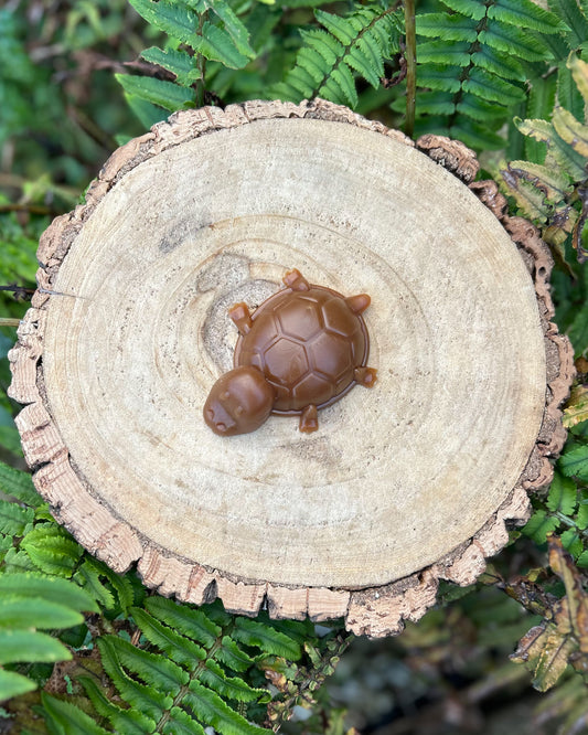 PEANUT BUTTER VEGGIE TURTLE