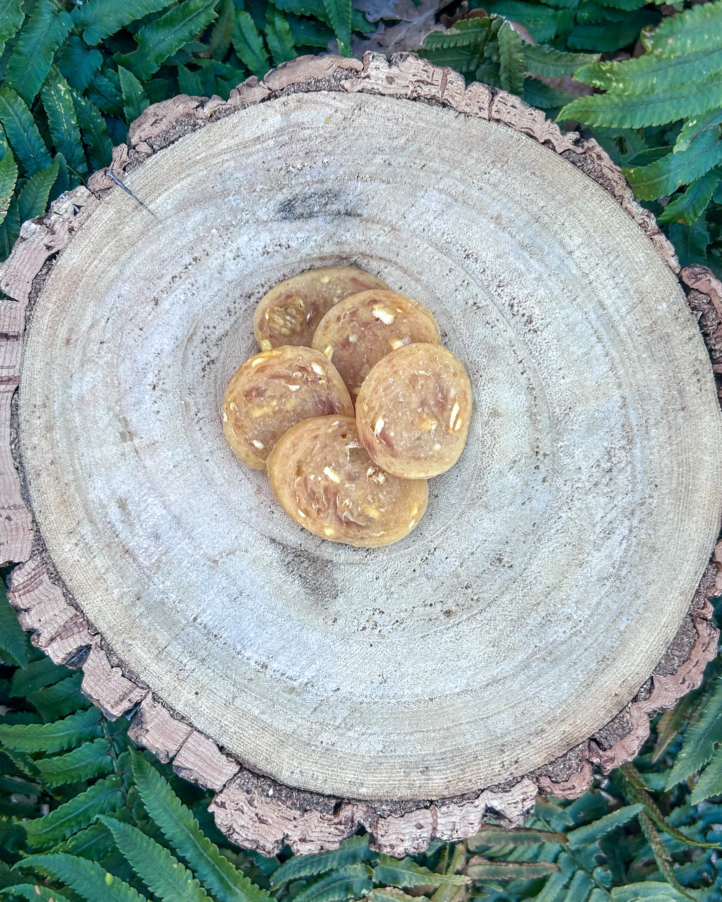 MEATY CHICKEN & APPLE COIN BITES